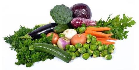 反季節蔬菜這類產品對人身體有害無益,學習蔬菜的季節分類屬性