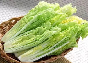 京東進(jìn)軍蔬菜領(lǐng)域 重塑品質(zhì)標(biāo)準(zhǔn)，超越有機(jī)蔬菜的革新之路